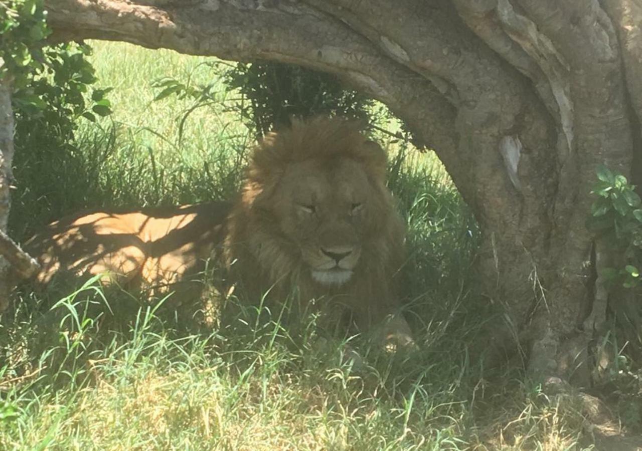 Aa Lodge Maasai Mara Talek Екстериор снимка