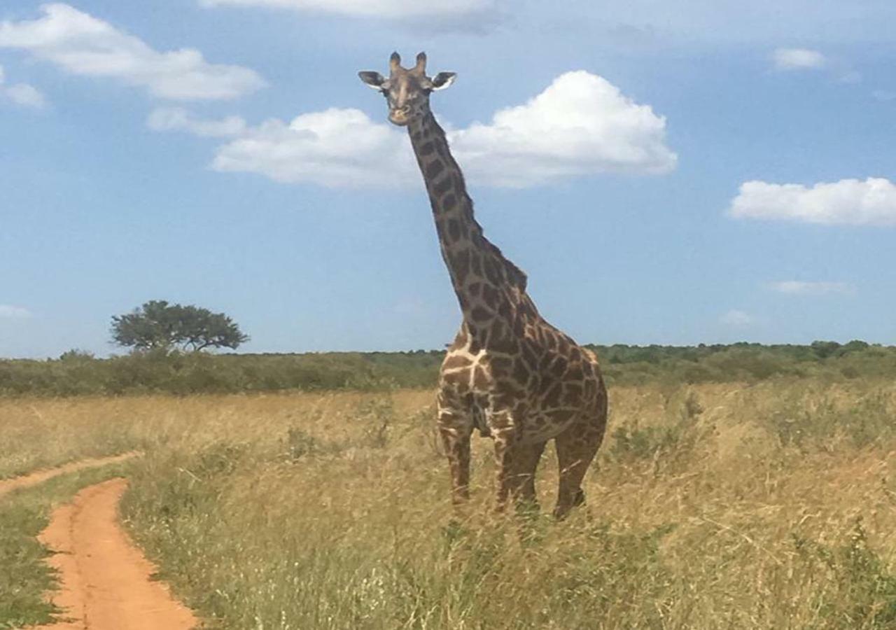 Aa Lodge Maasai Mara Talek Екстериор снимка